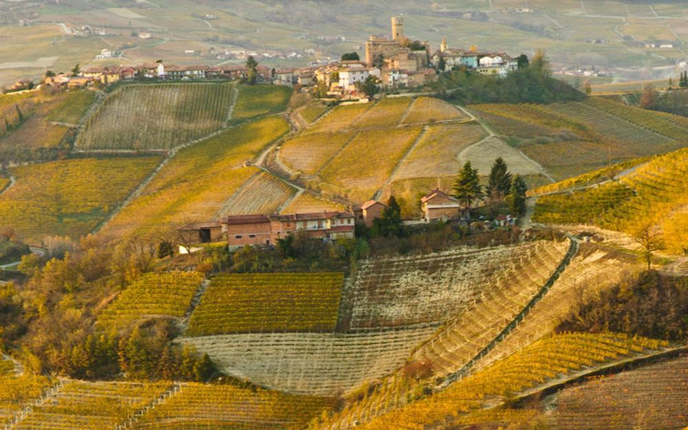 Hotel Langhe & Monferrato Costigliole d'Asti Exteriér fotografie